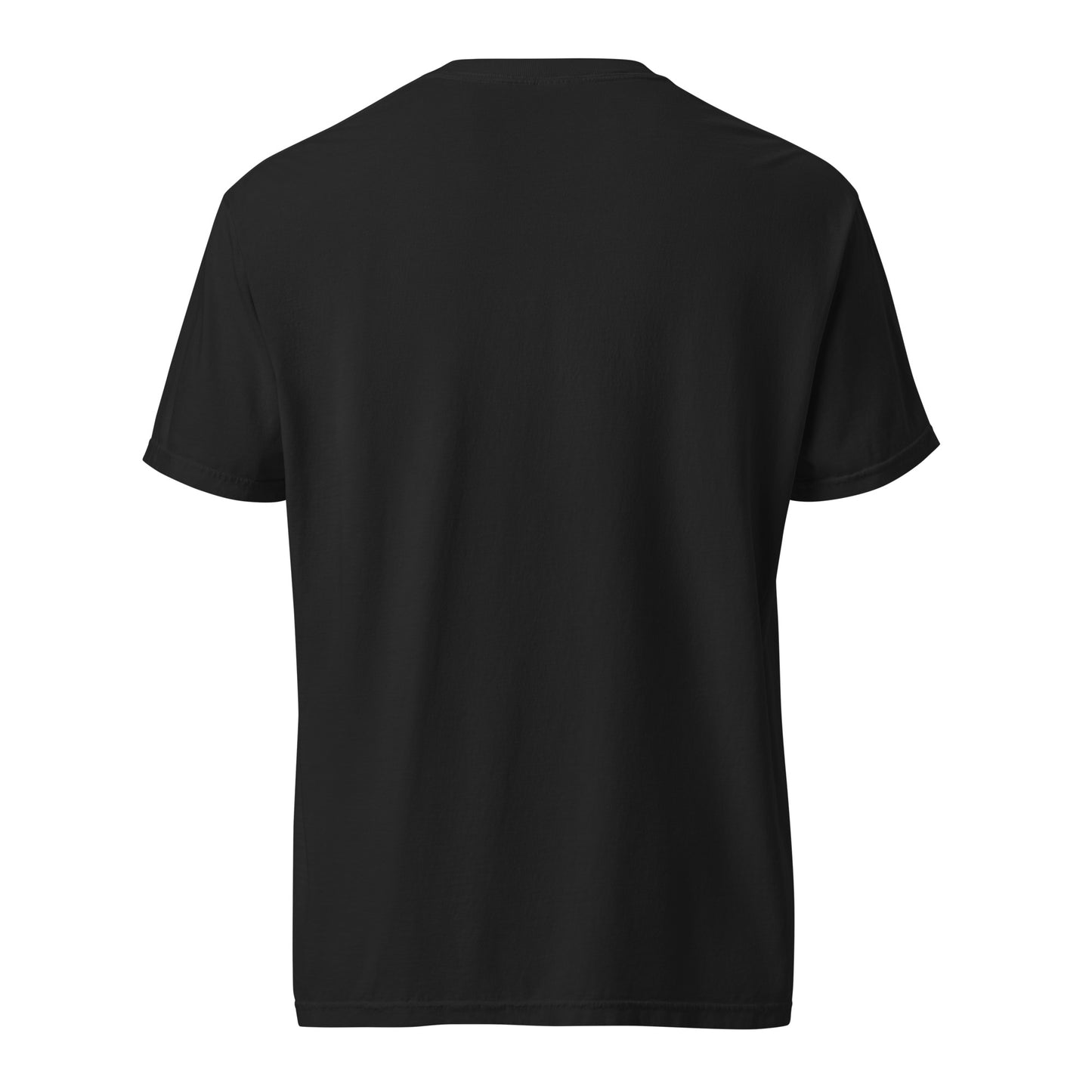 Hunger, Drive & Discipline unisex heavyweight t-shirt in black, back view