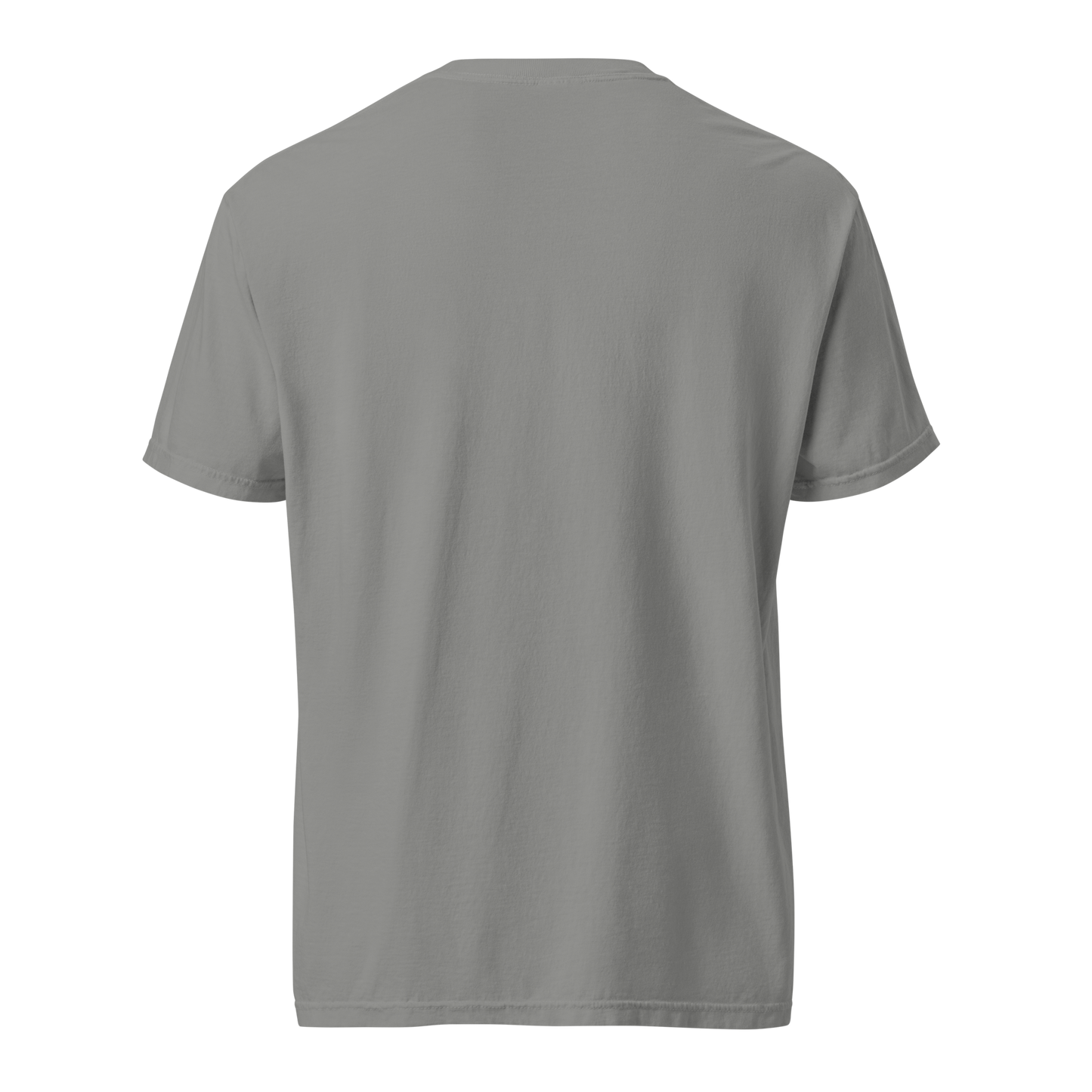 Hunger, Drive & Discipline unisex heavyweight t-shirt in grey, back view