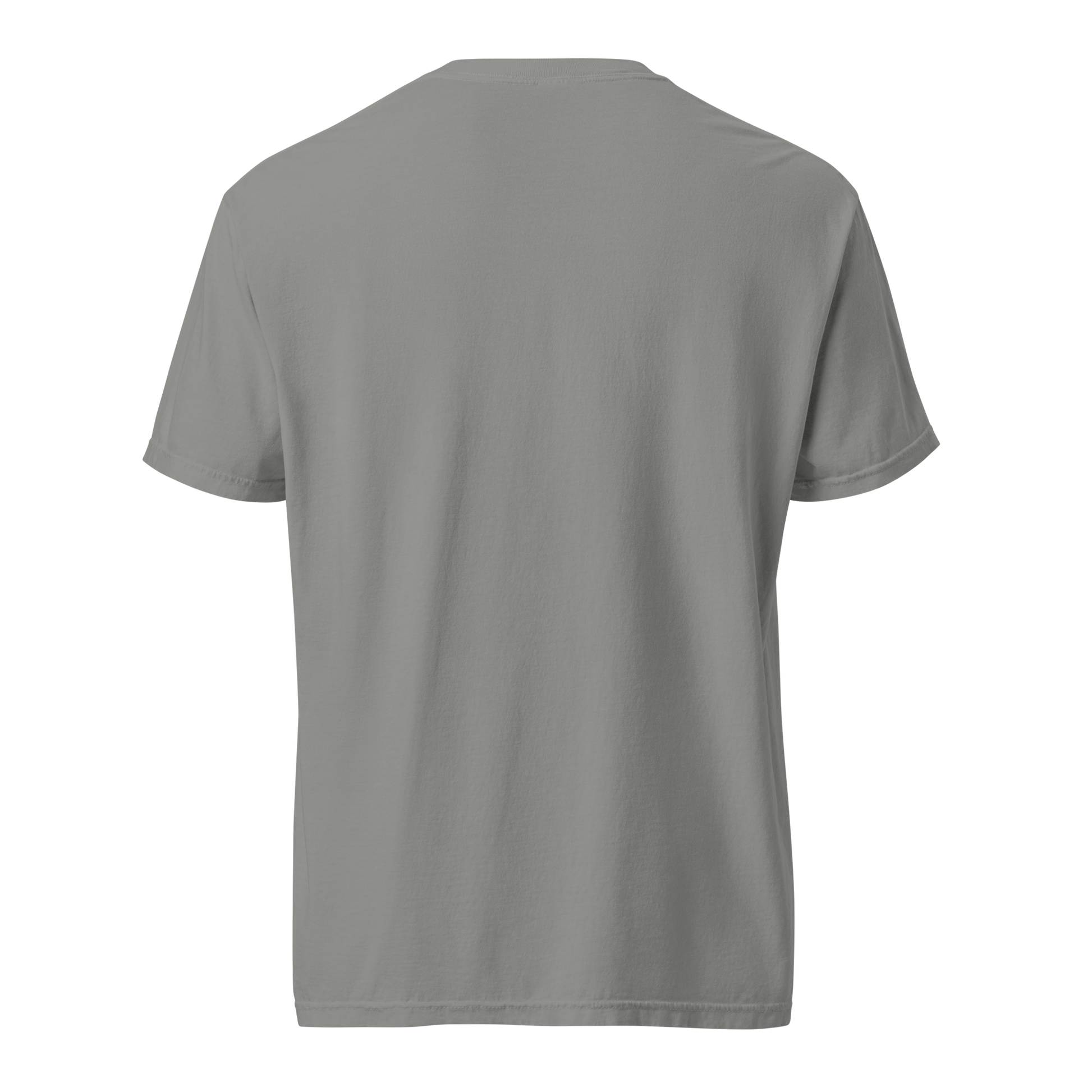 Hunger, Drive & Discipline unisex heavyweight t-shirt in grey, back view